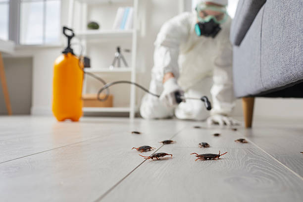 Trusted Cockroach Control service in Sanatoga, PA - Nex Pest Control